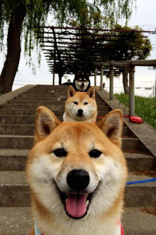 双城记，快船斩落马刺的团队艺术，杜兰特在世界杯舞台的接管美学