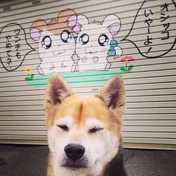 佩德里一锤定音,哥斯达黎加硬仗中力克沙特,锁定关键出线希望