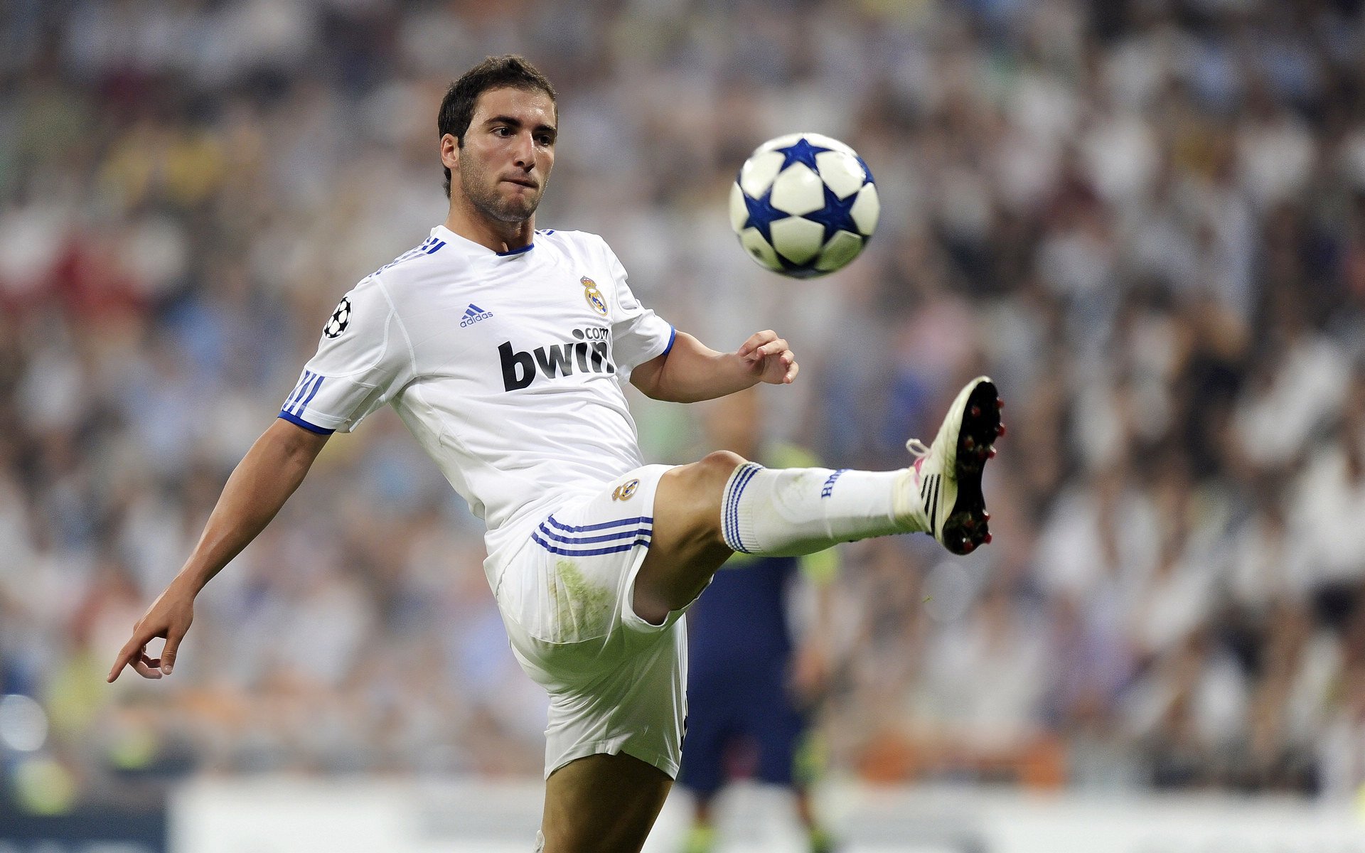 突尼斯旋风席卷亚平宁,年度焦点之战,北非雄鹰制霸佛罗伦萨